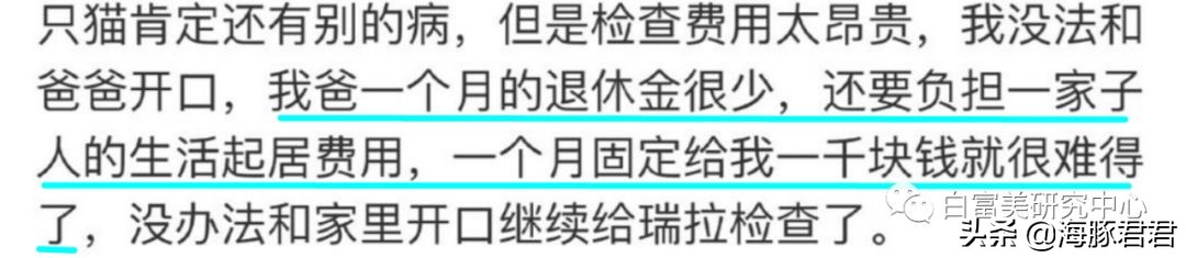 北京小公主靠吸猫血成百万大V,直播整容、大照骗、2年养死3只猫
