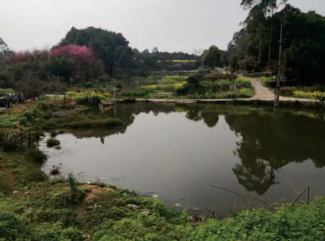 庆祝新中国成立70周年新闻报道,庆祝新中国成立70周年特辑宣讲