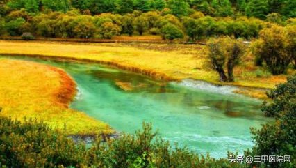 2019医疗界热点问题,2019年医疗热点事件及点评