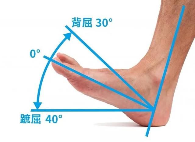 如何14天练出完美小腿,怎么练成小腿细长