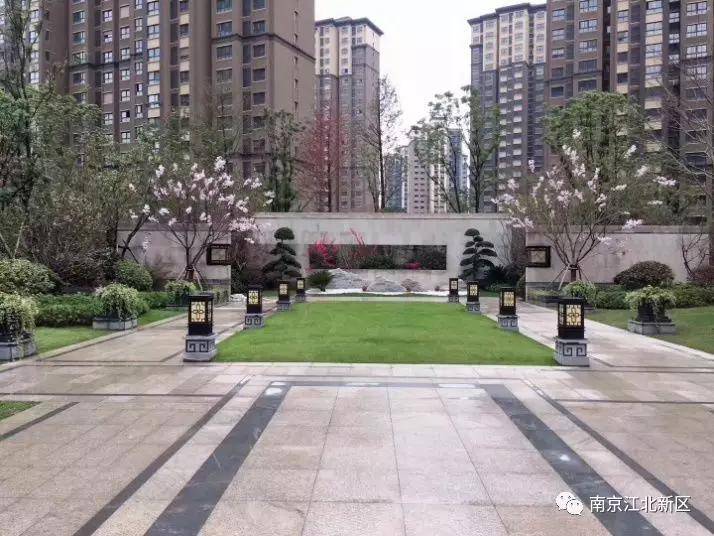 新区高质量发展的意见建议,促进国家级新区高质量发展