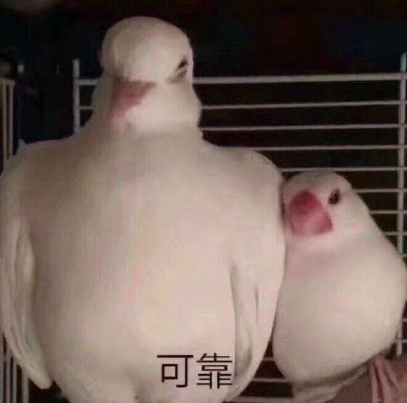 这几种面膜不能买谨慎烂脸,买错医美面膜当心会烂脸