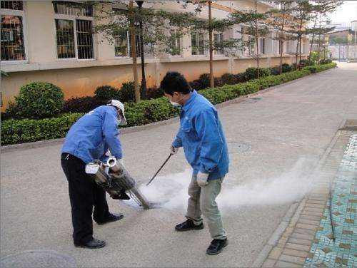 怎么灭白蚁最彻底呢,怎么灭白蚁最有效
