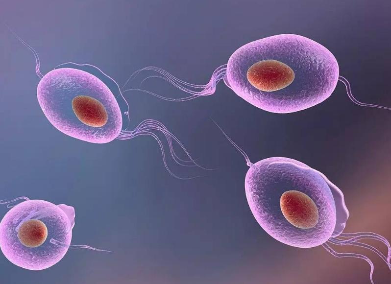 英国隔离期间衣原体病例激增专家：夫妻*生活性**要适度，安全第一