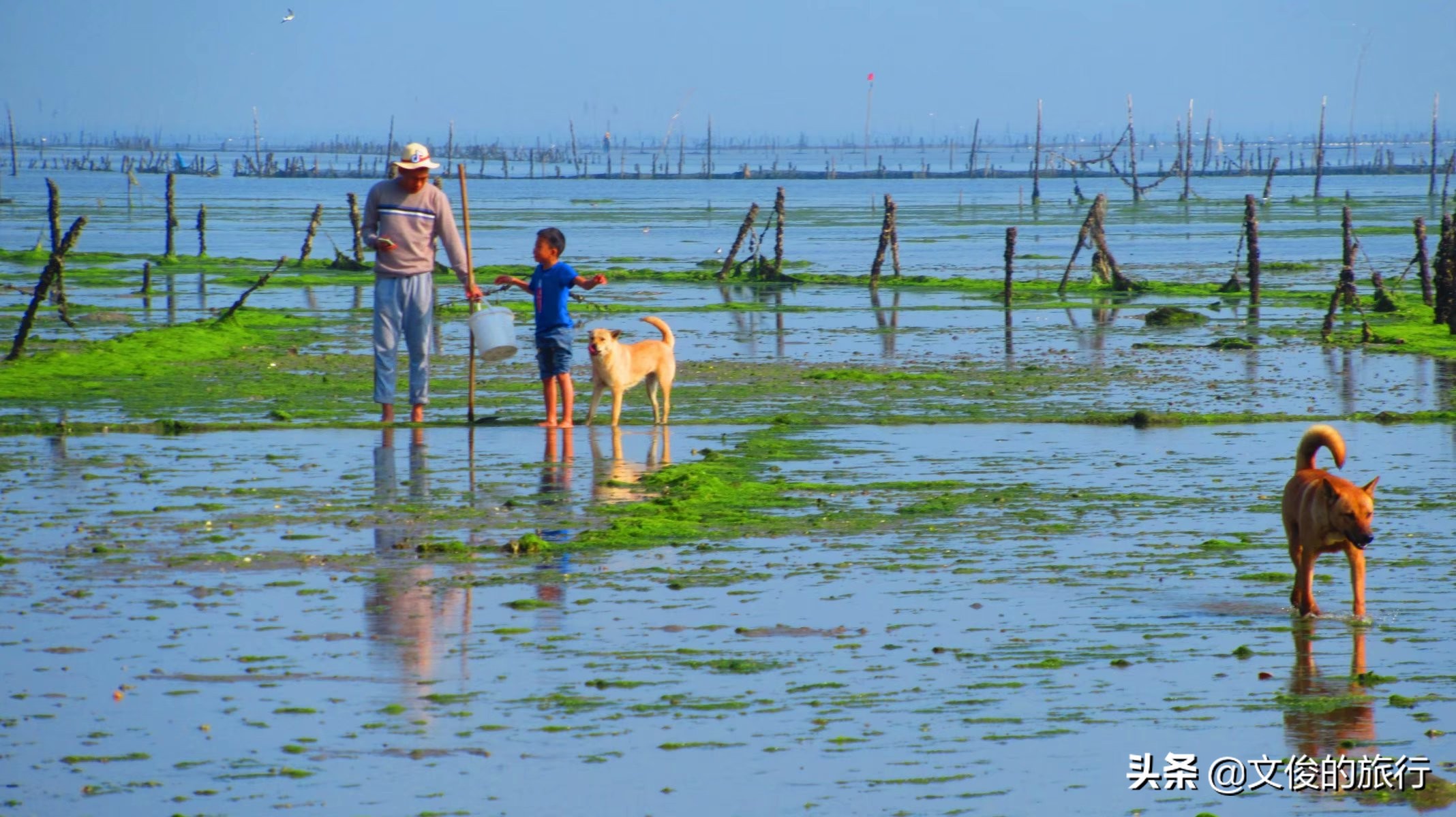 从防城港到东兴金滩需要多久时间,去防城港的簕山古渔村