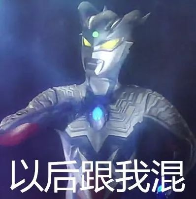 猪年适合做生意吗,猪年适合做什么行业