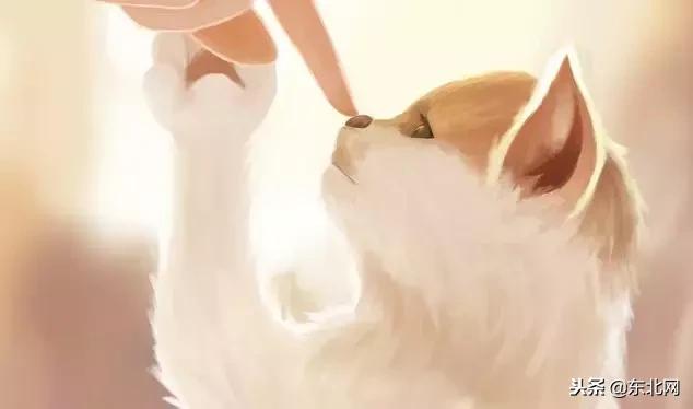 90后女性腋下突然疼痛,女性腋下肿大发烧怎么回事