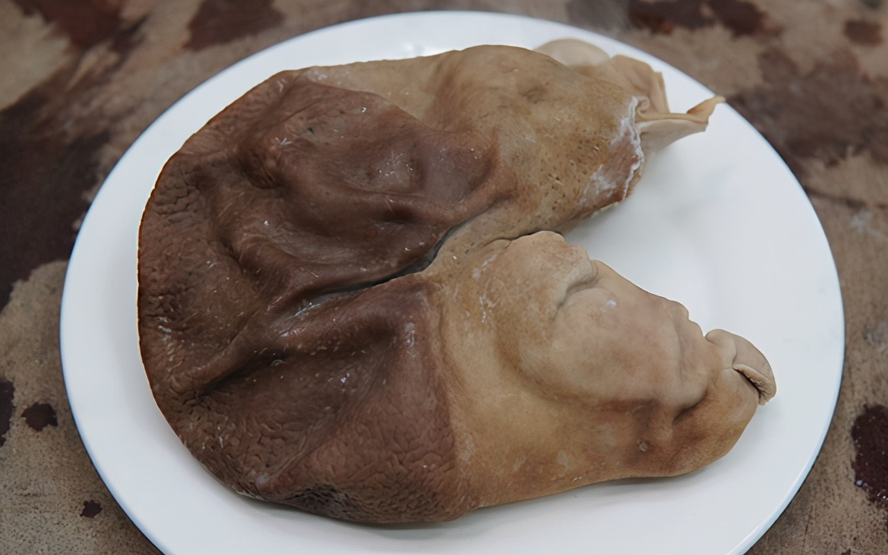 如何清洗猪肚的小技巧简单又实用,吃猪肚要怎么洗