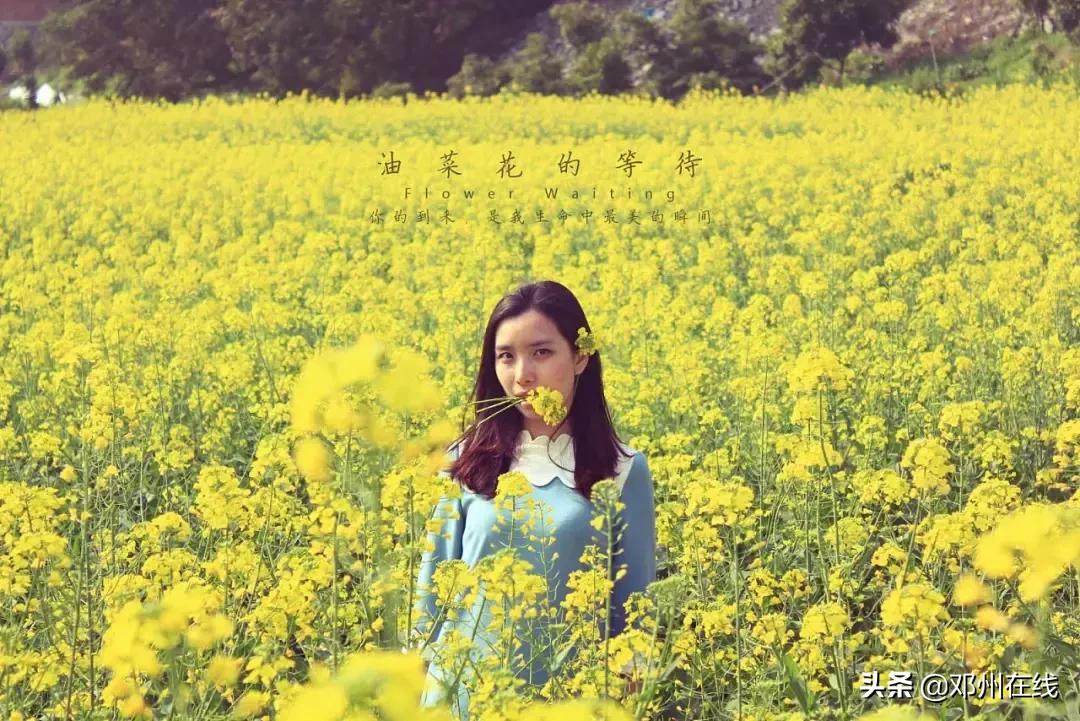 南阳最新重要新闻,河南南阳有什么大事