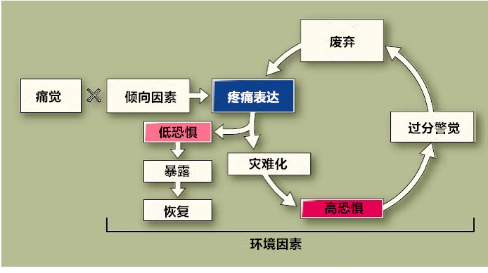 训练过后有疼痛感才有效,训练时突然难受