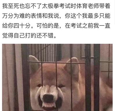 中国大学生为了太极拳考试，已经走火入魔了