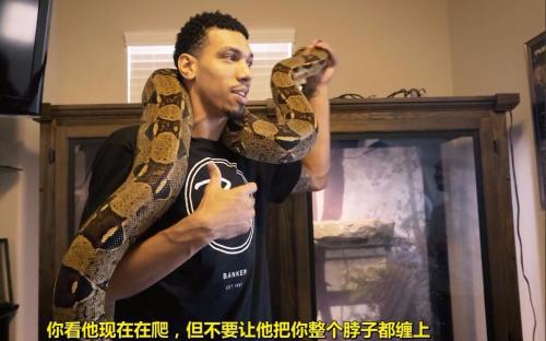 奥尼尔魔术扣断篮架,奥尼尔入篮后篮球架塌下来视频