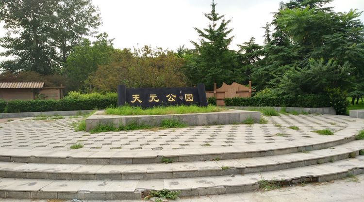 北京小众银杏最佳观赏地,北京小众公园效果图