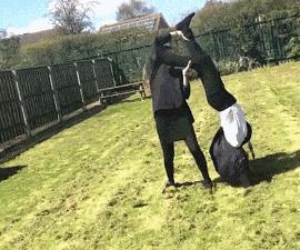 开心一刻gif下雨天,搞笑gif笑到肚子疼意外瞬间特辑