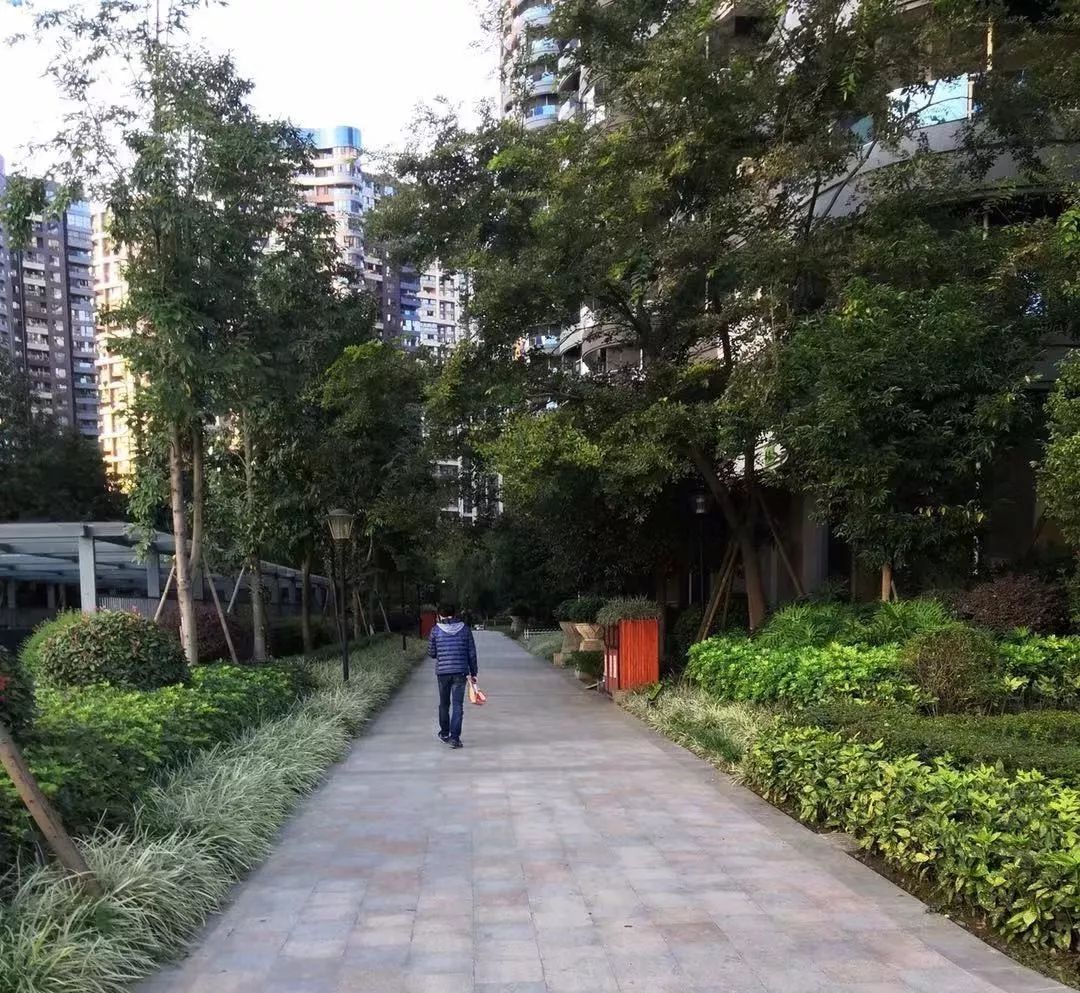 天府新区第五小学待遇,天府新区第五小学对口中学