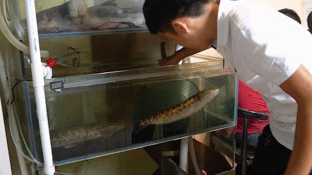 鱼控要疯了~光靠颜值就已经圈粉无数