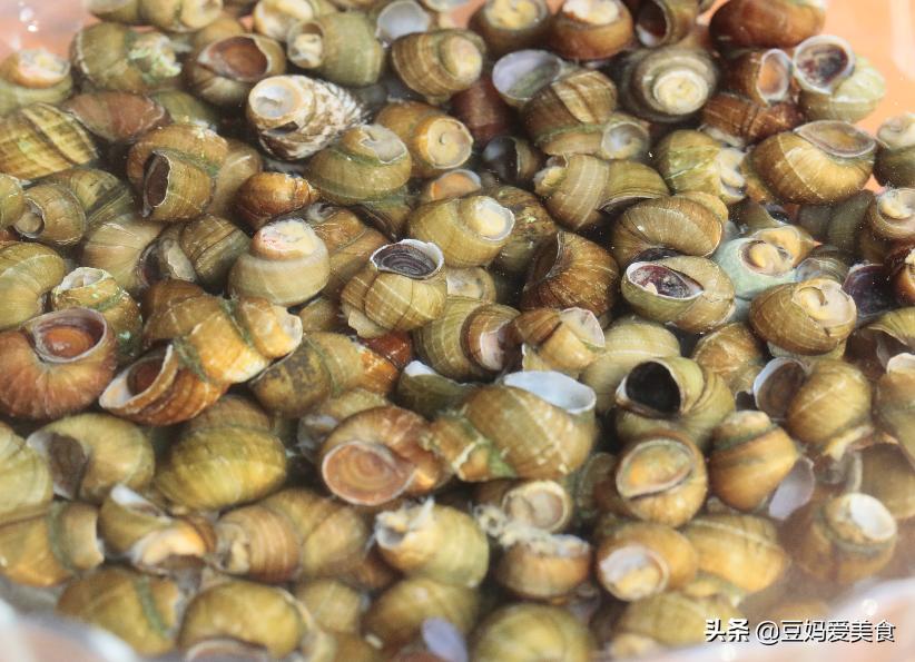 为什么你炒的螺蛳吸不出来？可能是这2步没有做好，吃起来超费嘴
