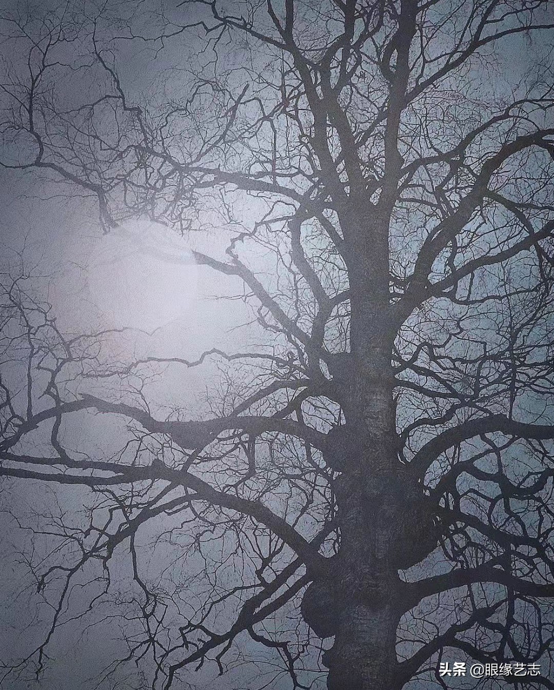 1440个小时的涅槃之画：黎明之树，佐藤裕一郎的心之风景