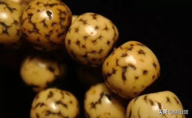 星月菩提怎么盘玩更亮更容易上色,鸡油黄星月菩提为什么盘了不变色