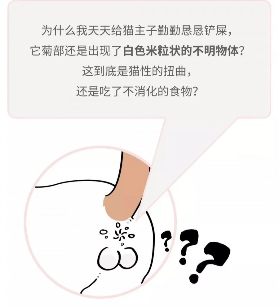 菊部周边长了个肉疙瘩,菊部旁边长了个肉疙瘩