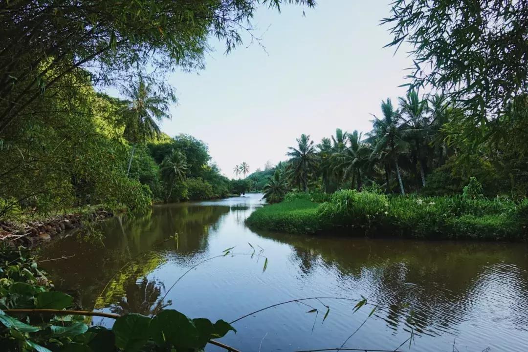 在吸引村上春树买房养老的海岛呆3天，马代帕劳在我心里降到第二