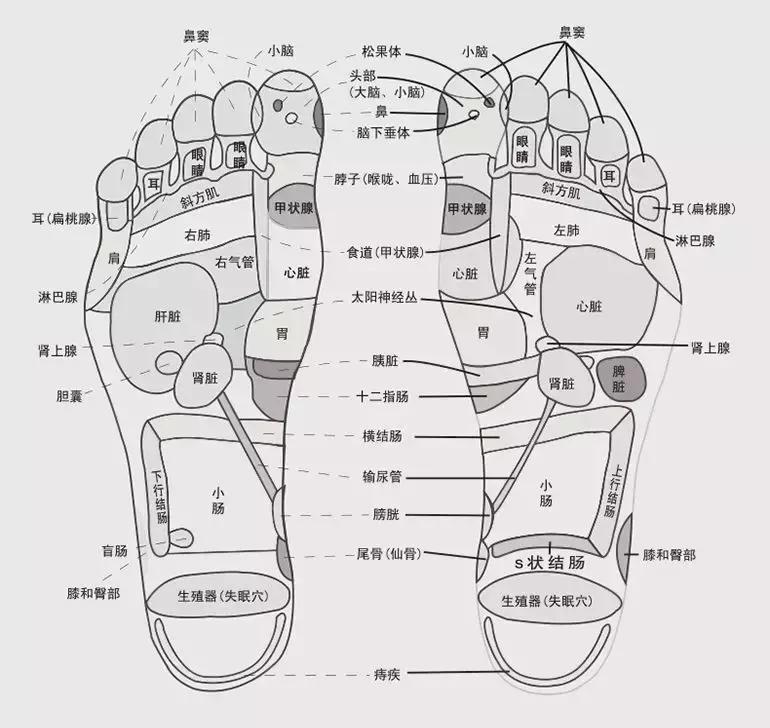 双十一我的第一个快递是假货！泰国爆款皇家足贴真假辨别
