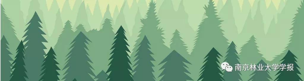 无患子果实视频,无患子成熟图