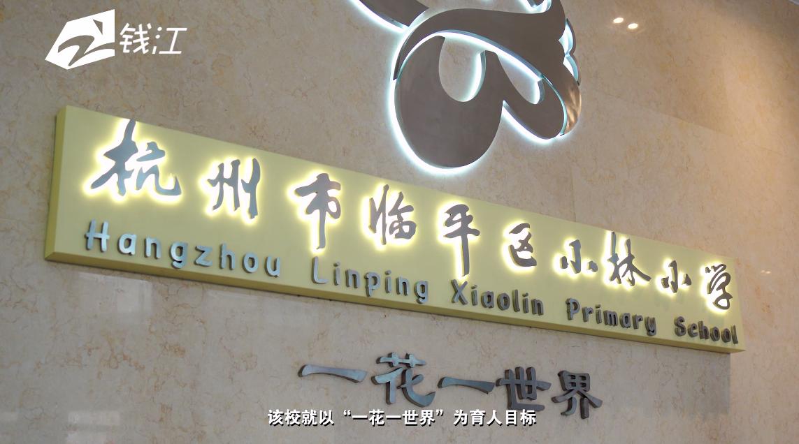 临平小林中心小学,杭州市临平区小林小学怎么样