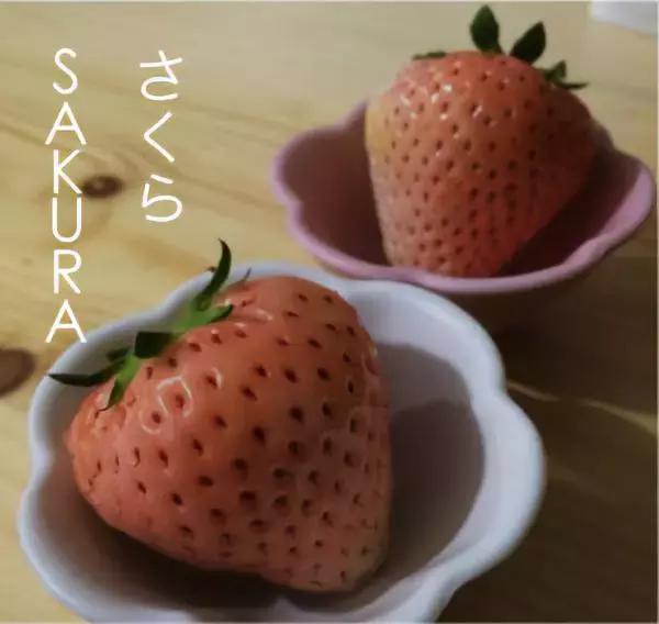 吃一口得花一个月工资？这种隐形炫富潮流值得追吗？