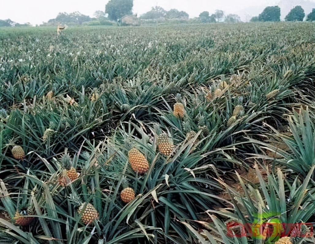 你会感兴趣的冷知识,你感兴趣的航天知识都有哪些