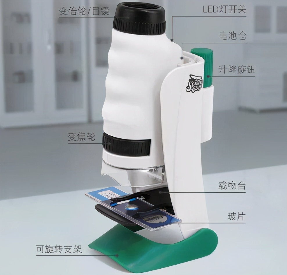 买玩具的十大坏处,第一次入手玩具需要关注什么