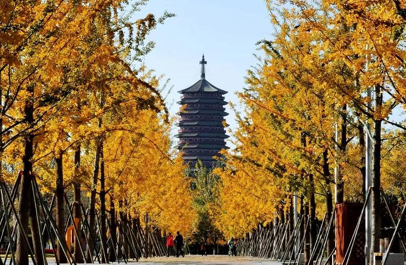 【FENG爆】走！到丰台赏秋去——2021丰台金秋文化旅游季，正式开启！