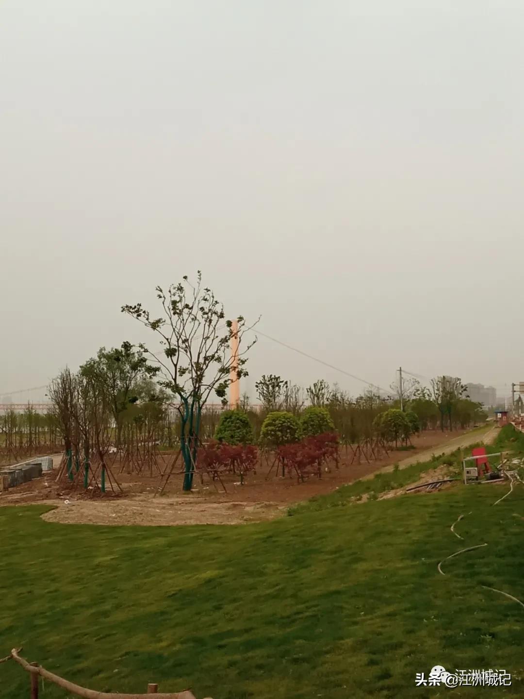 芳草萋萋汉水边,杨泗港大桥江滩公园网红打卡地