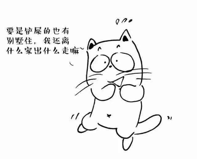铲屎官须知猫丢了怎么办,铲屎官经验推荐