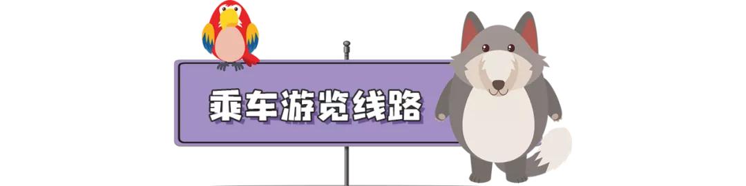 长隆飞鸟乐园长隆熊猫酒店怎么选,周一长隆野生动物园游玩攻略