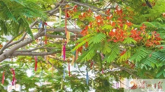 2019福建高考满分作文题目,2023年高考福建作文