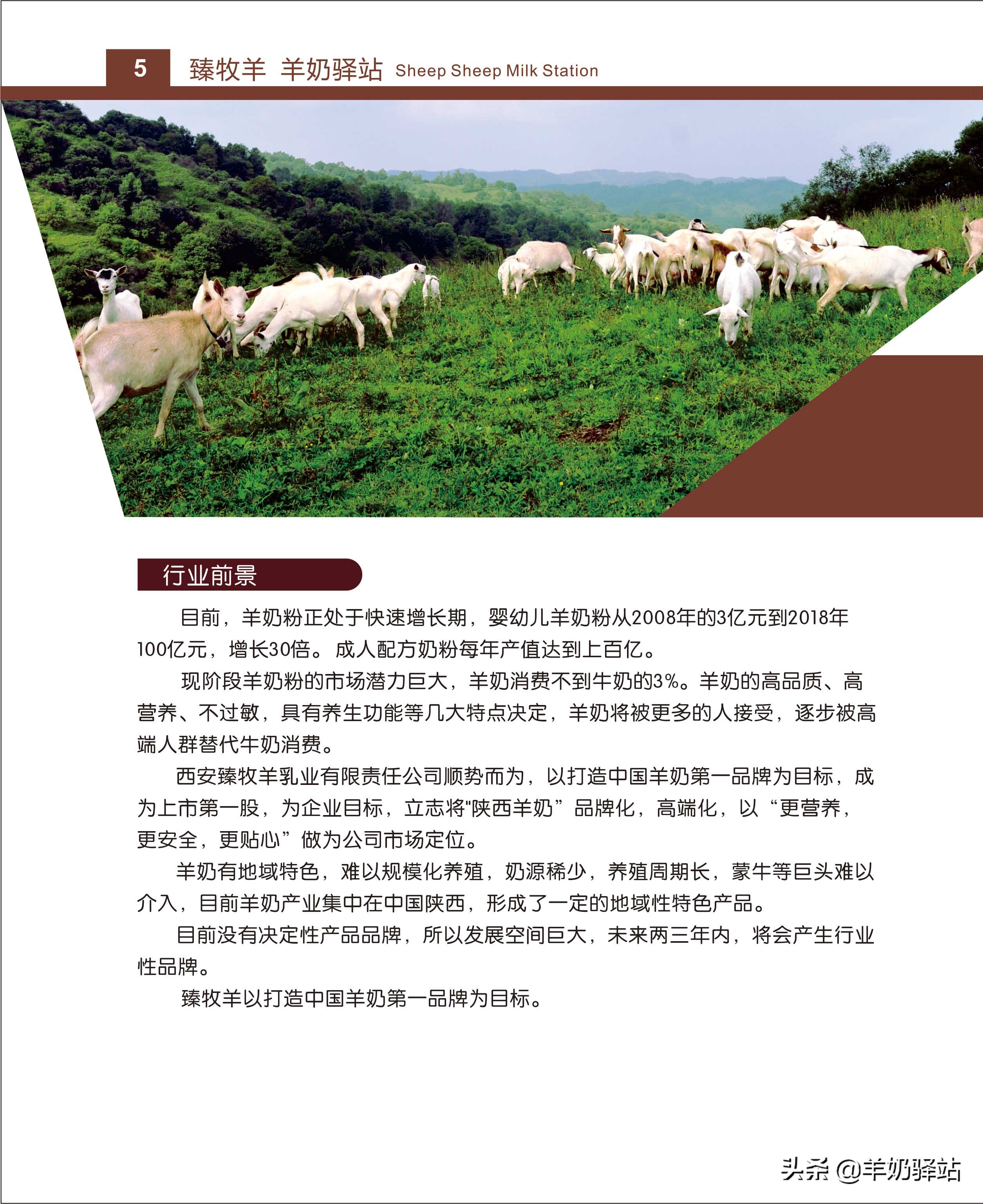 臻牧羊羊奶驿站运营模式,羊奶加盟连锁扶持排行榜