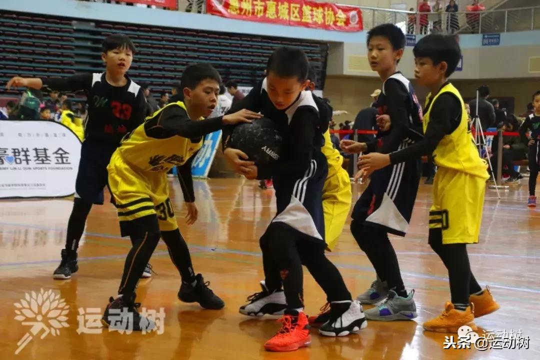 中国篮球名宿走进学校,中国篮球名宿26分