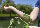 如何让*麻疹荨**消失从此身体不再刺痒难受？