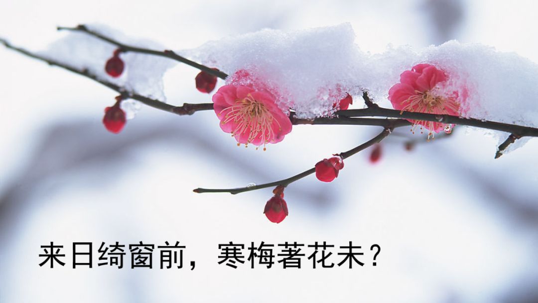 六年级下册10古诗三首ppt完整版,部编版六年级下册第三课古诗图解