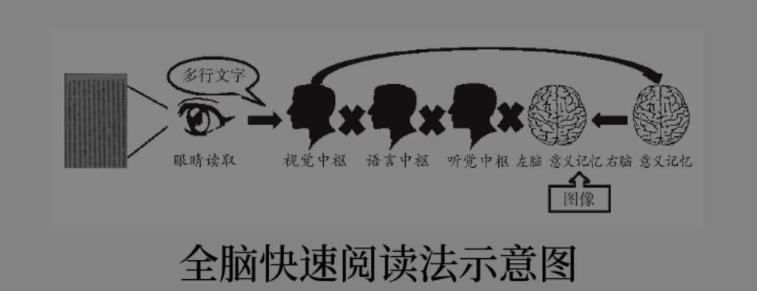 从“毒书大王”到“读书达人”：全脑快速阅读，改变你一生的方法