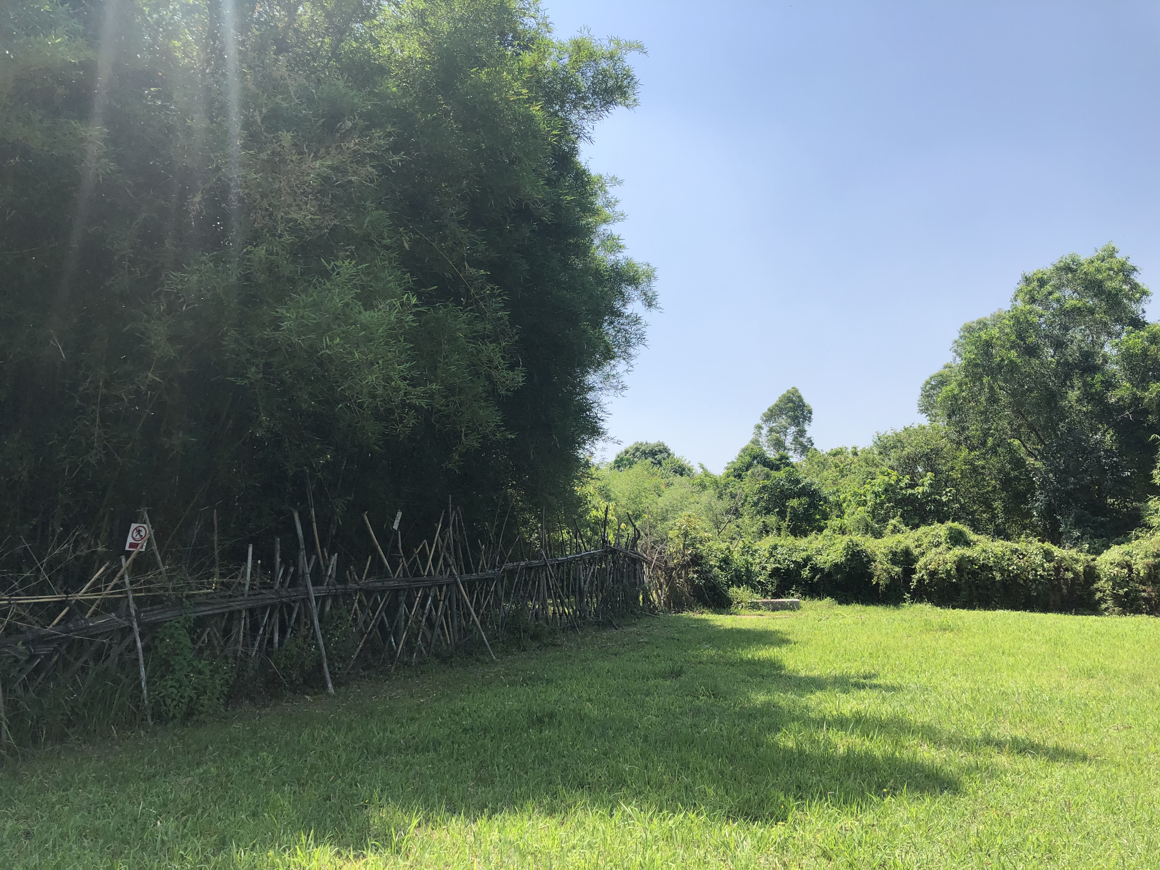 东莞适合带小朋友去的公园,东莞哪些公园适合带孩子们玩