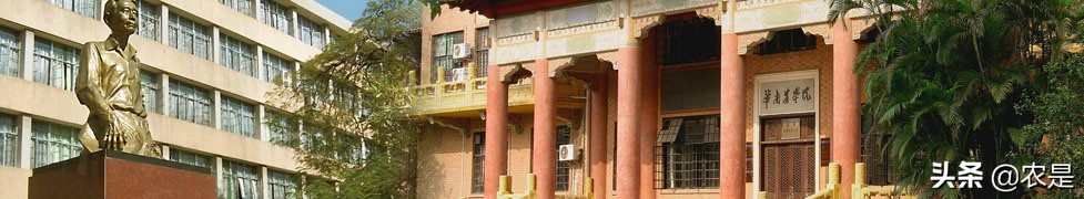 张永亮，华南农业大学动物营养与饲料系教授、博导，动物生化专家