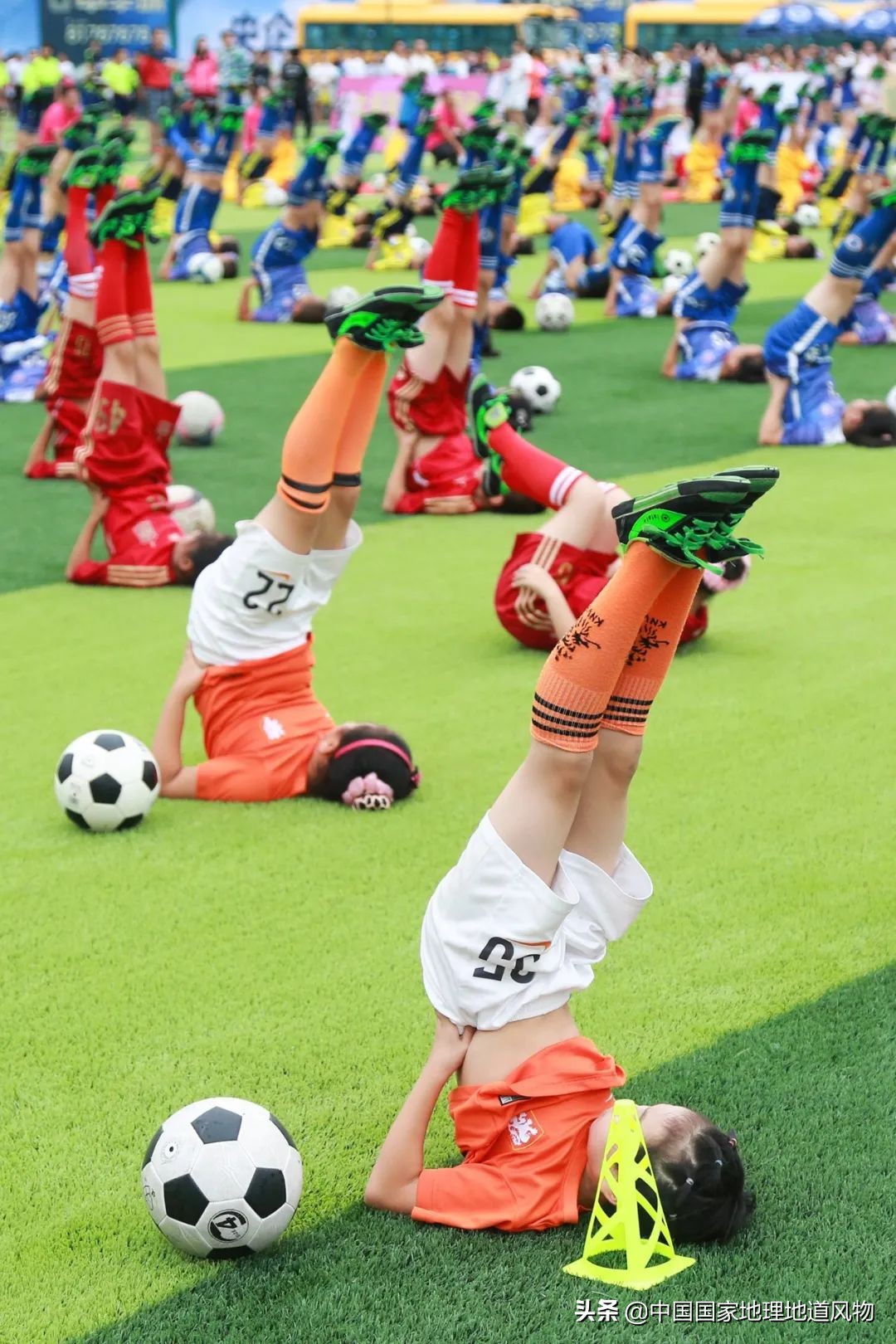 中国奥运冠军最多的是哪个城市,盛产奥运冠军的浙体院