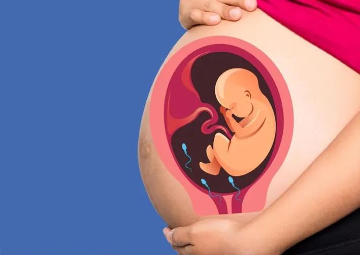 28岁女打黄体酮,卵巢早衰打黄体酮能来月经吗