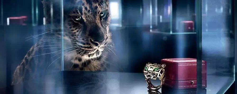 暴走香港旅游攻略,去香港旅游购物攻略推荐