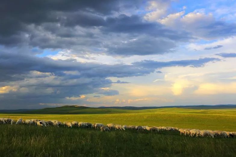 内蒙除了草原还有沙漠,内蒙古除了呼伦贝尔还有哪里