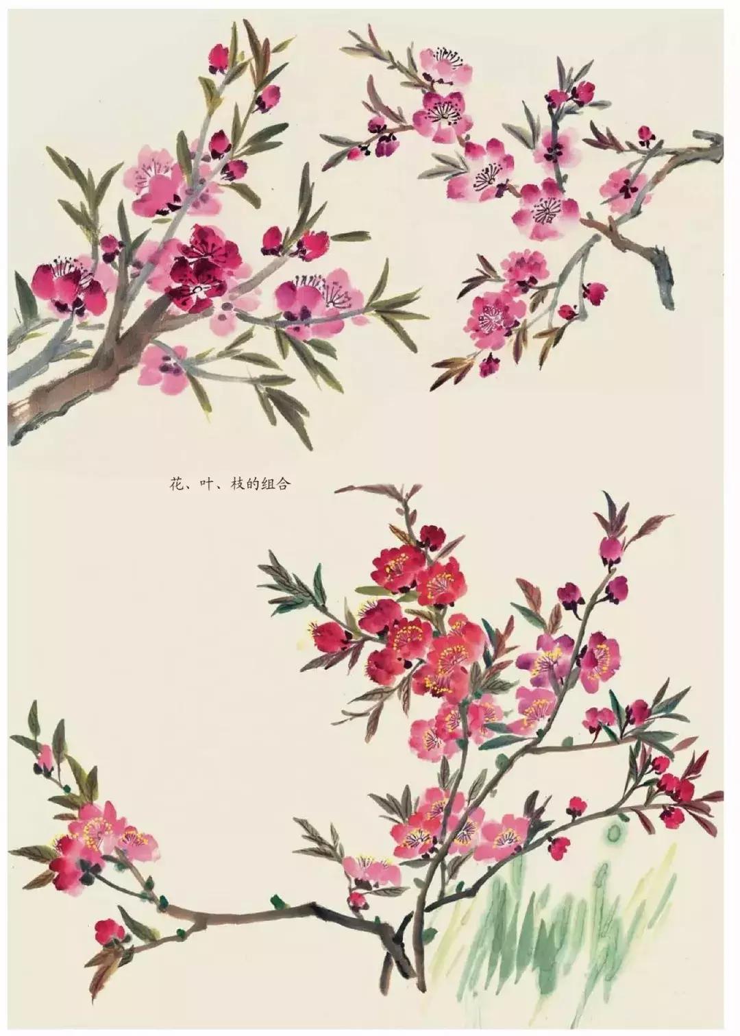 国画中各种花卉的画法,国画花卉画法步骤视频教程