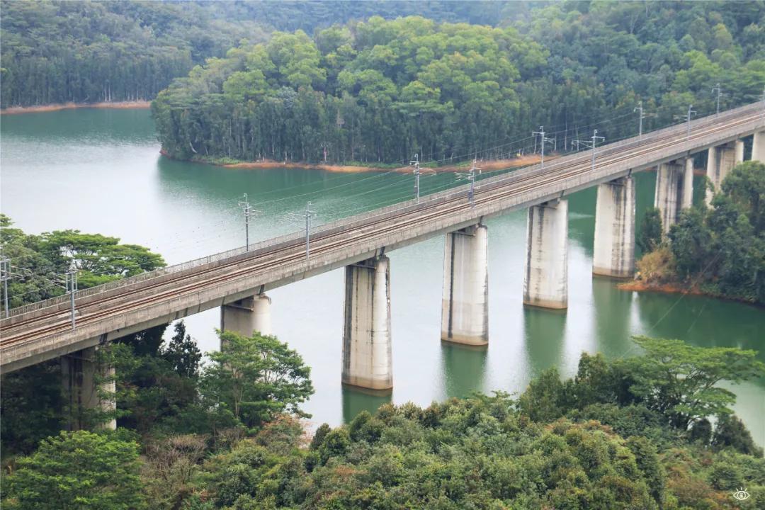 深圳西丽玻璃栈道,深圳海滨栈道重新开放