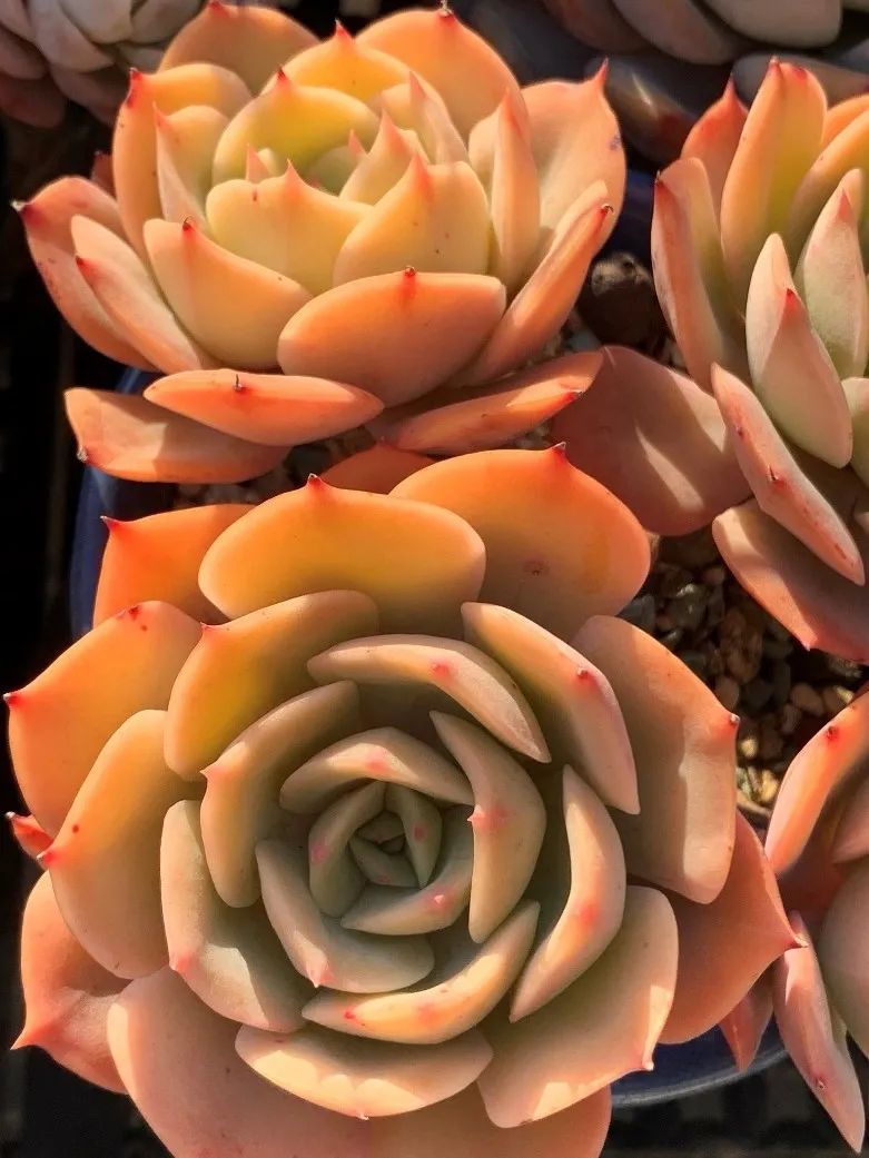 禁足的日子收获颇多,禁足